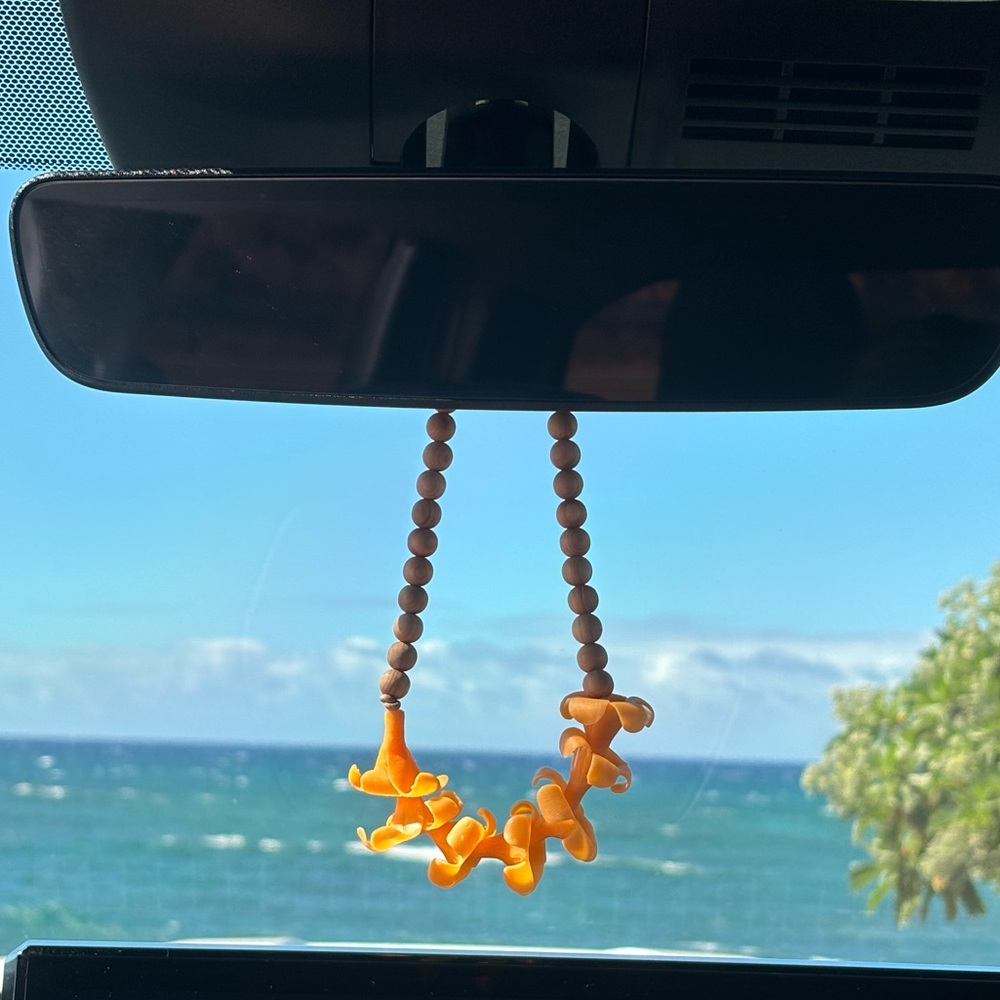 Puakenikeni Beaded Car Lei